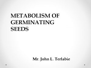METABOLISM OF GERMINATING SEEDS Mr John L Terlabie