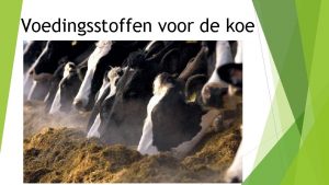 Voedingsstoffen voor de koe Weende analyse koolhydraten Organische