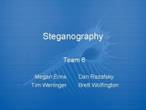 Steganography Team 6 Megan Enns Tim Weninger Dan