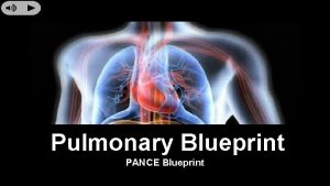 Pulmonary Blueprint PANCE Blueprint Infectious Disorders Acute Bronchitis