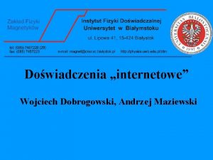 Dowiadczenia internetowe Wojciech Dobrogowski Andrzej Maziewski Plan wykadu