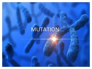 MUTATION DEFINITION Mutation can be defined as a