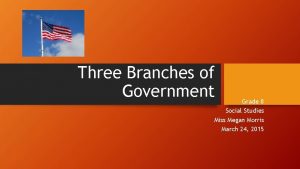 Three Branches of Government Grade 8 Social Studies