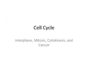 Cell Cycle Interphase Mitosis Cytokinesis and Cancer Cell