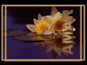 Tu sabes amar Yo estoy aprendiendo Estoy aprendiendo Tu sabes amar Yo estoy aprendiendo Estoy aprendiendo