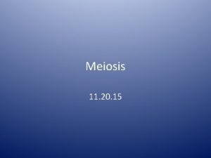 Meiosis 11 20 15 Mitosis Genetic constancy via