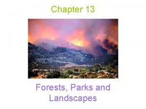 Chapter 13 Forests Parks and Landscapes Two Mindsets