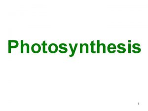 Photosynthesis 1 Photosynthesis Overview Process by which plants