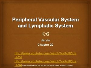 Peripheral Vascular System and Lymphatic System Jarvis Chapter