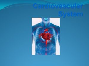 Cardiovascular System Definition of cardiovascular system The cardiovascular