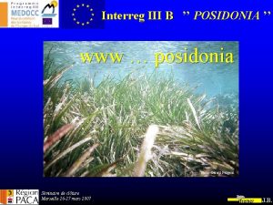 Interreg III B POSIDONIA www posidonia Photo Grard