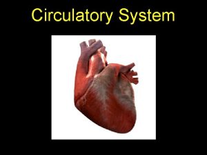 Circulatory System Circulatory System Consists of Heart Blood