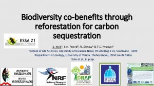 Biodiversity cobenefits through reforestation for carbon sequestration S