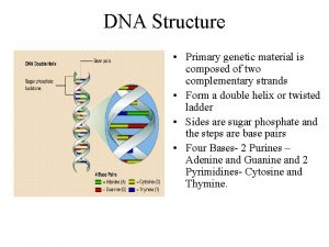 DNA Structure Primary genetic material is composed of