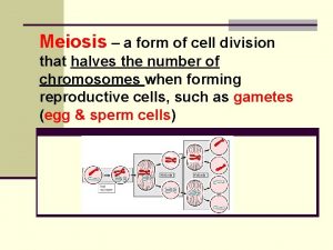 Meiosis a form of cell division that halves