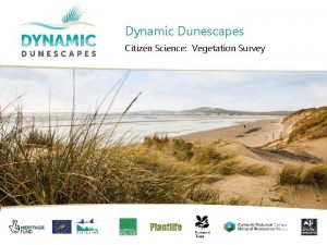 Dynamic Dunescapes Citizen Science Vegetation Survey v Vegetation