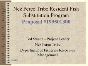 Nez Perce Tribe Resident Fish Substitution Program Proposal