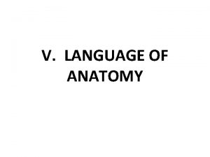 V LANGUAGE OF ANATOMY A Anatomical Position Directional