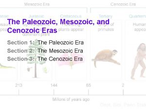 The Paleozoic Mesozoic and Cenozoic Eras Section 1