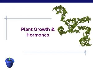 Plant Growth Hormones AP Biology Growth in Plants