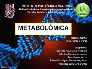 INSTITUTO POLITCNICO NACIONAL Unidad Profesional Interdisciplinaria de Ingeniera