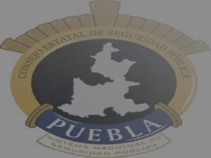 INTRODUCION A LA SEGURIDAD PUBLICA POLITICA DE SEGURIDAD