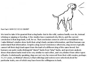 Fun Fact WHY DO DOGS BARK We tend