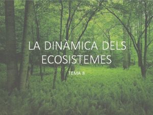 LA DINMICA DELS ECOSISTEMES TEMA 8 Lecosistema Terra