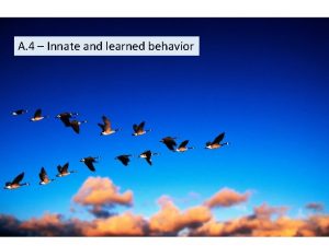 A 4 Innate and learned behavior All organisms