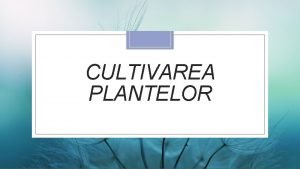 CULTIVAREA PLANTELOR AGRICULTURA poate fi Tradiional familial Grdini