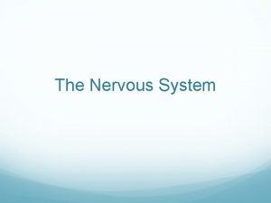 The Nervous System Neurons Nerve cells they conduct