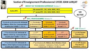 Section dEnseignement Professionnel LYCEE JEAN LURAT BREVET DE