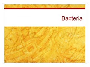 Bacteria Bacteria n Kingdom n Onecelled organism n