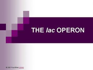 THE lac OPERON 2007 Paul Billiet ODWS The