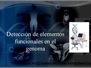 Deteccin de elementos funcionales en el genoma Prediccin