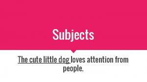 Subjects The cute little dog loves attention from