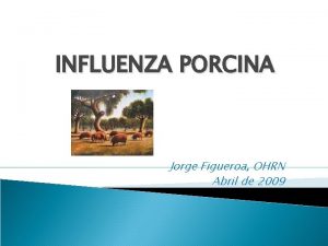 INFLUENZA PORCINA Jorge Figueroa OHRN Abril de 2009