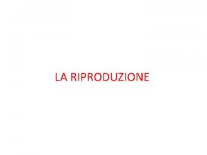 LA RIPRODUZIONE Lapparato riproduttore maschile costituito da 2