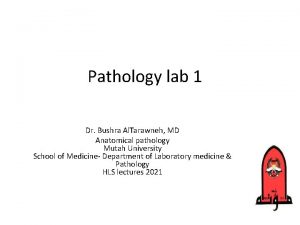 Pathology lab 1 Dr Bushra Al Tarawneh MD