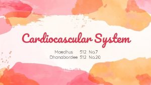 Cardiocascular System Maedhus 512 No 7 Dhanabordee 512