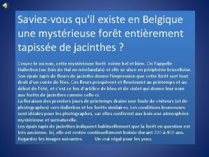 Saviezvous quil existe en Belgique une mystrieuse fort