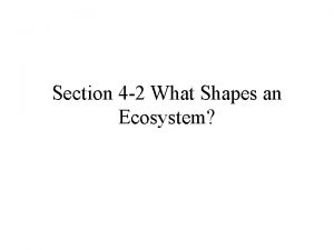 Section 4 2 What Shapes an Ecosystem Ecosystem