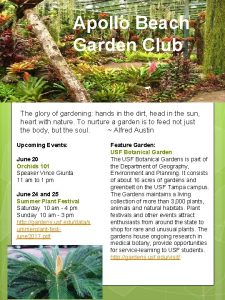 Apollo Beach Garden Club The glory of gardening