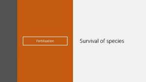 Fertilization Survival of species What is fertilization Fertilization