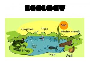 ECOLOGY Ecologythe scientific study of interactions between different