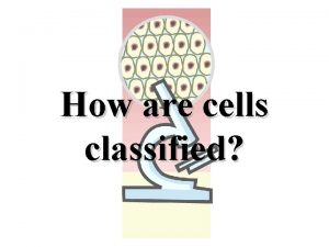 How are cells classified ribosomes organelle nucleus Cell