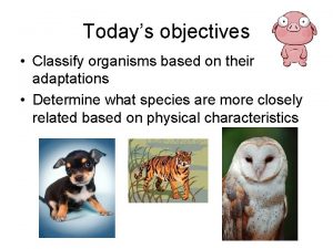 Todays objectives Classify organisms based on their adaptations