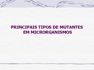 PRINCIPAIS TIPOS DE MUTANTES EM MICRORGANISMOS Mutantes auxotrficos