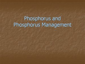 Phosphorus and Phosphorus Management Outline Introduction P Sources