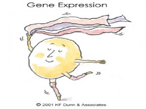 GENE EXPRESSION GENE EXPRESSION n every cell nucleus